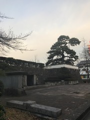 2016-12-20-07-16-01