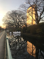 2016-12-20-07-16-26