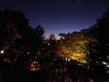 R0011305