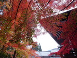 R0011243
