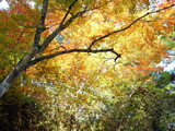 R0011103