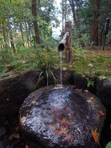 R0011225