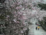 DSCN3194