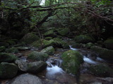 R0010575