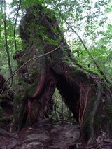 R0010588