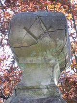 47871865_3072433263s