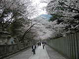 DSCN3189