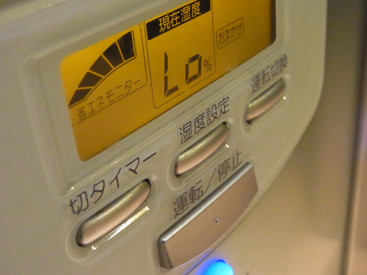 RIMG0734