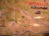 d81c61f3.jpg
