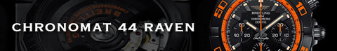 banner_raven2