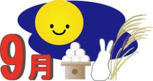 yjimage