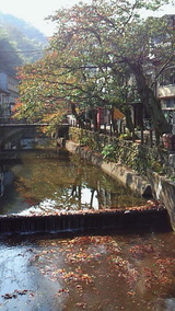 4d730991.jpg