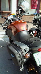 6e705873.jpg