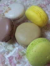 macaron