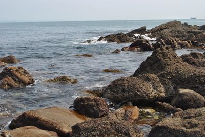 DSC_1029