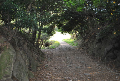 DSC_1028