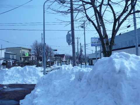 P1010079