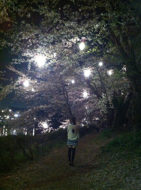 高田城８