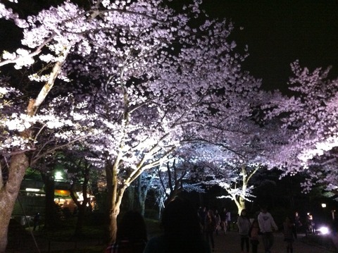 兼六園５