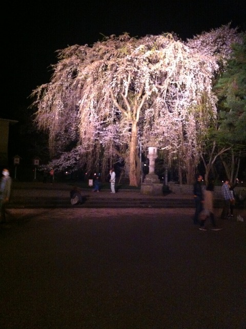 高田城５