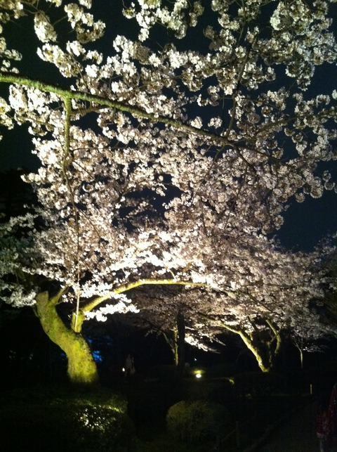 6兼六園