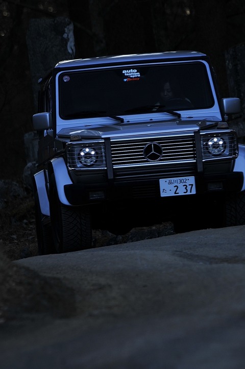 com_DSC6524