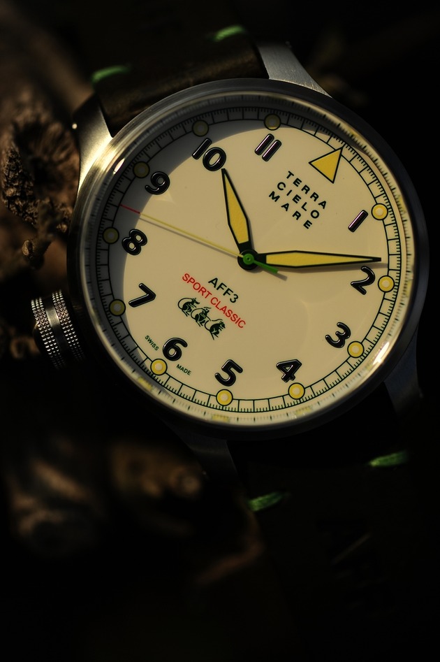 TCM AFF-3 _DSC0311