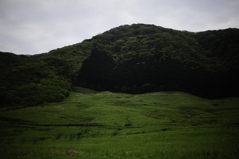 5555555_DSC0667