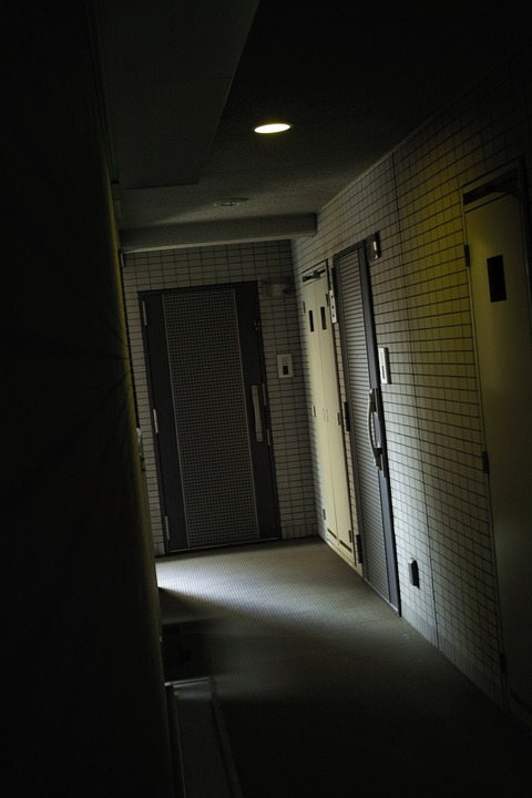 AFF3 _SDI9788