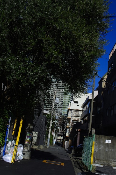AFF3 1210_IGP9773