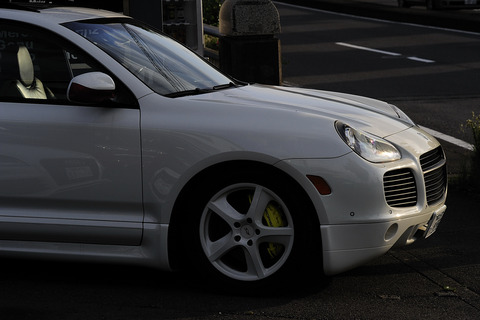 AFF1 _DSC0661