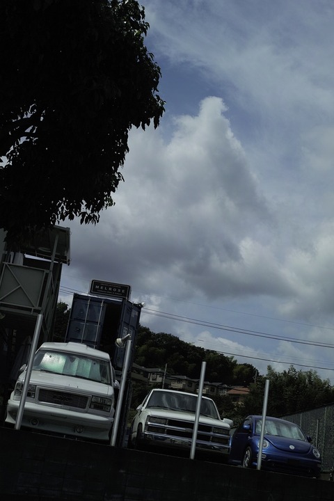AFF3 _SDI9818