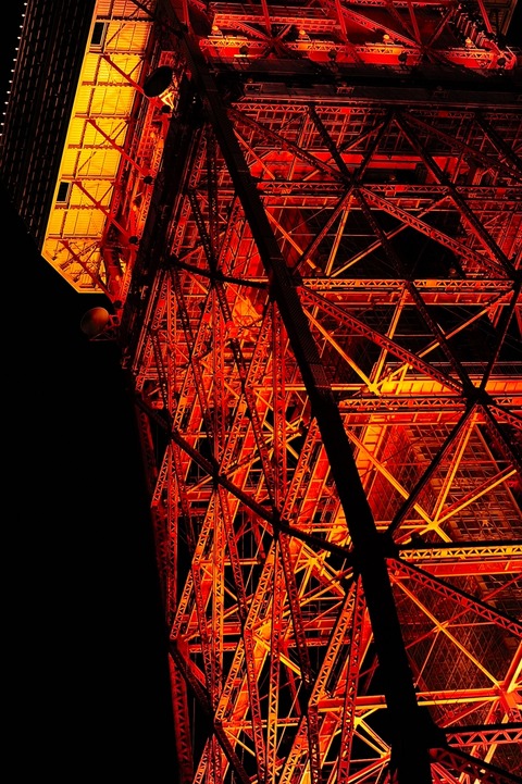 AFF3 1031_DSC0429