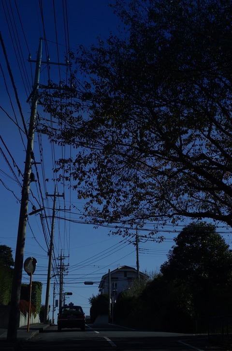 AFF3 1120 _IGP2771