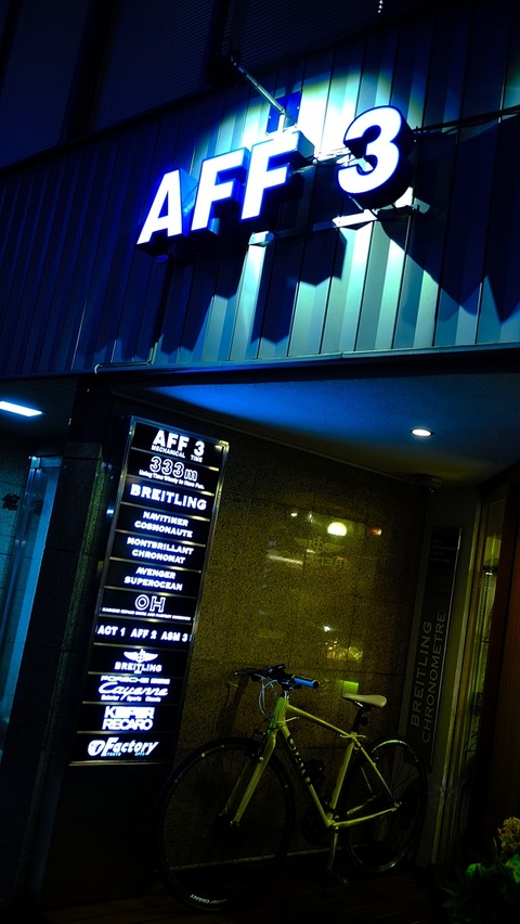 AFF3 FUJI_S568295