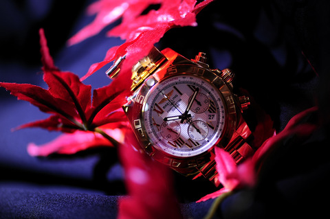 1026GOLD_DSC0205