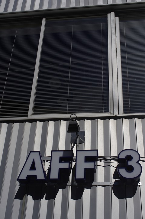 AFF1 _IGP0829