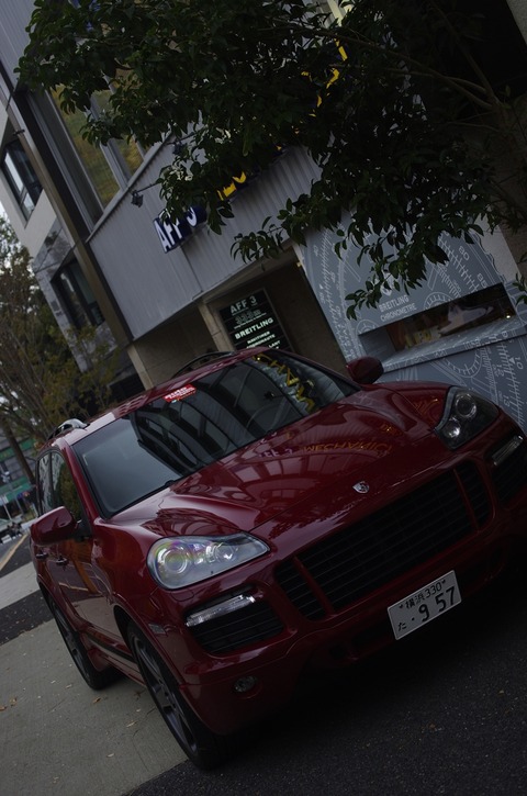 AFF3 _IGP7497