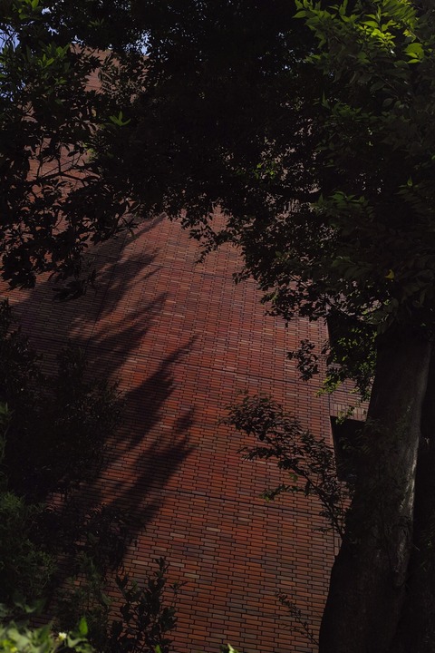 AFF3 _SDI0239