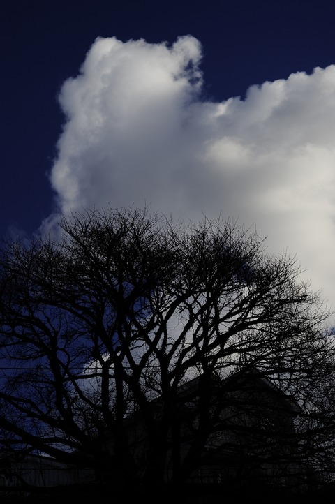 Kako AFF-3 _DSC0027