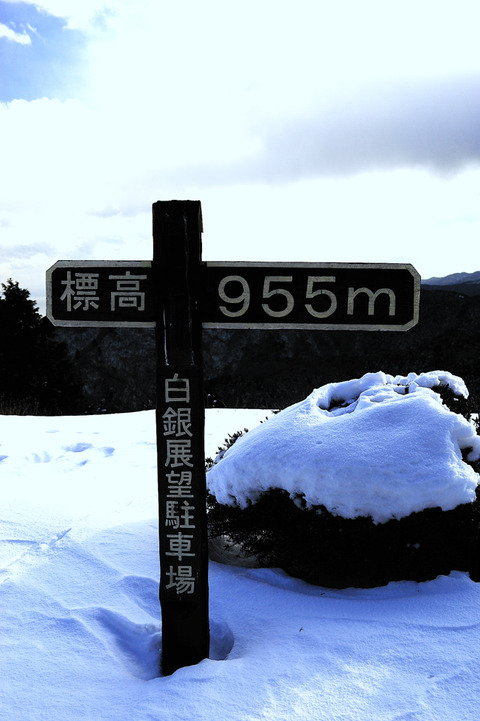 カイエン_DSC0825