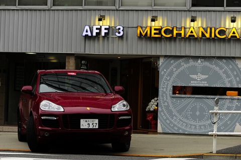 AFF3 _DSC0117