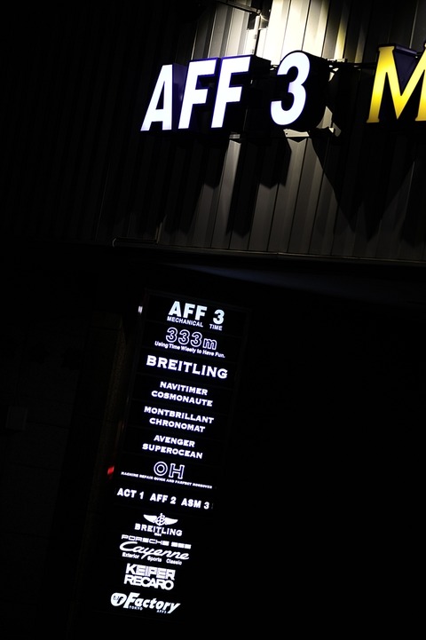 AFF3 1031_DSC0390