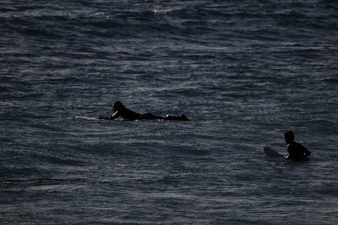 Kako 2015 01 02 D300S _DSC0112