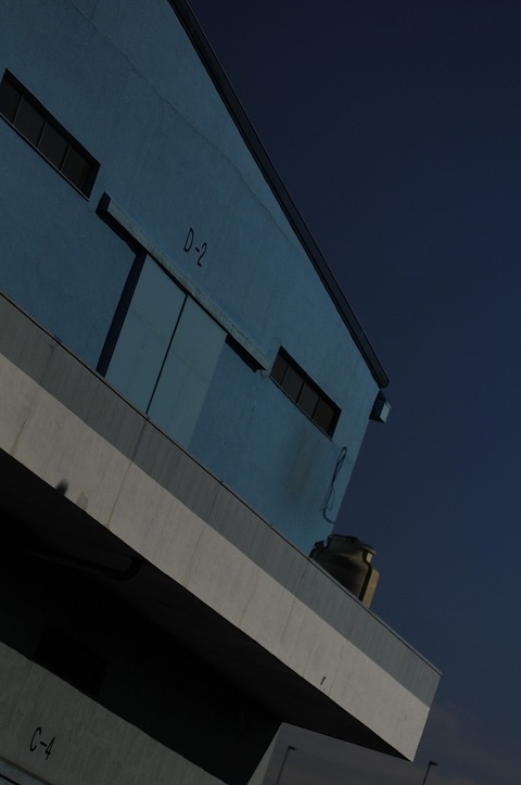 Kako 2015 01 02 D300S _DSC9948