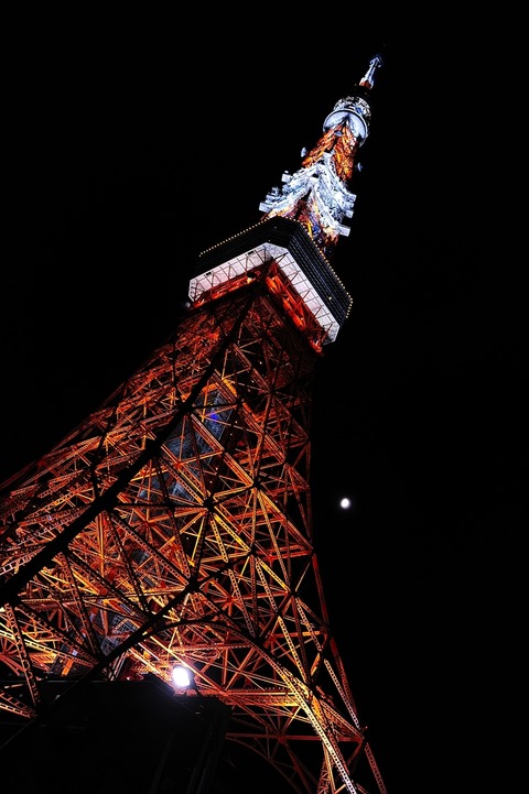 AFF3 __DSC0647