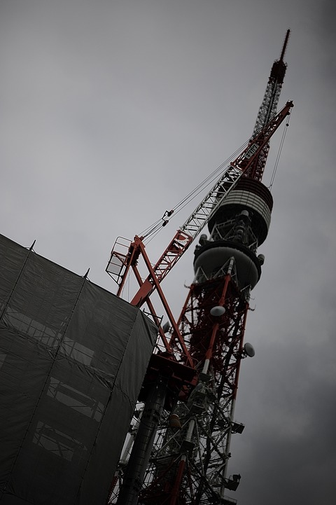 955555555_DSC0542