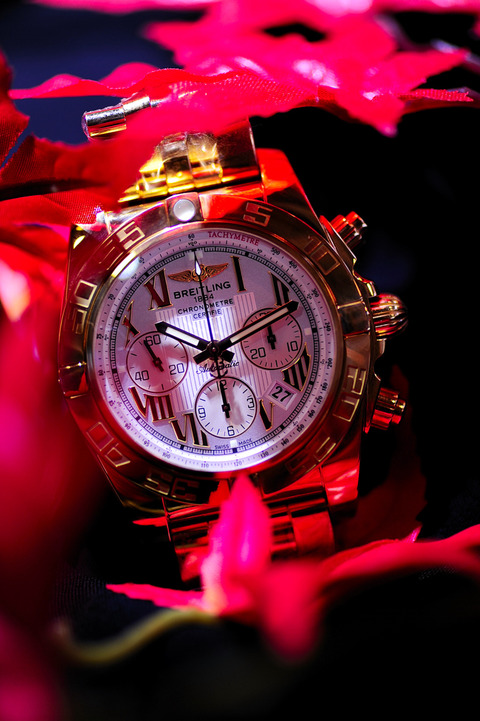 1026GOLD_DSC0220