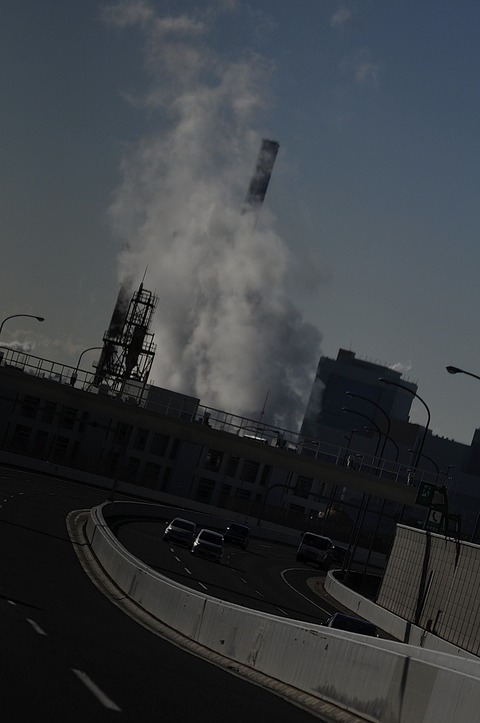 Kako 2015 01 02 D300S _DSC9967