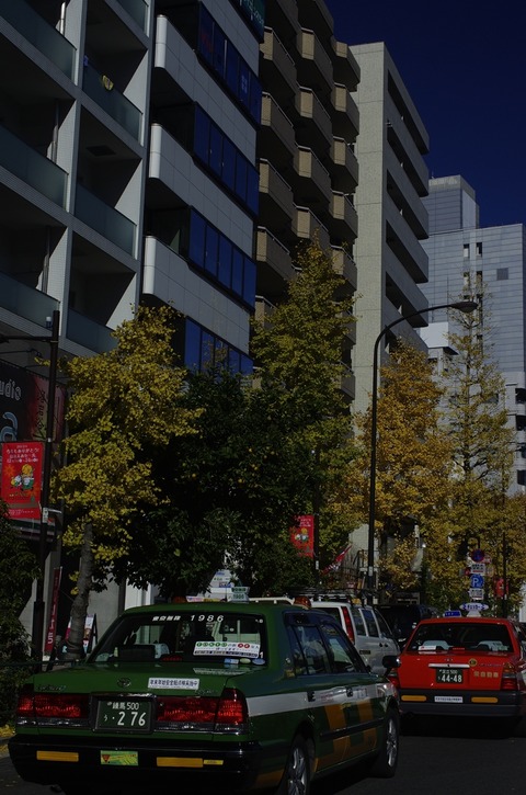 AFF3 1210_IGP9766